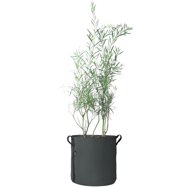 BACSAC-50L-Charcoal