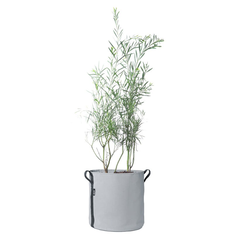 50l plant pot BACSAC 50 Litre Round Pot – Beans and Jazz