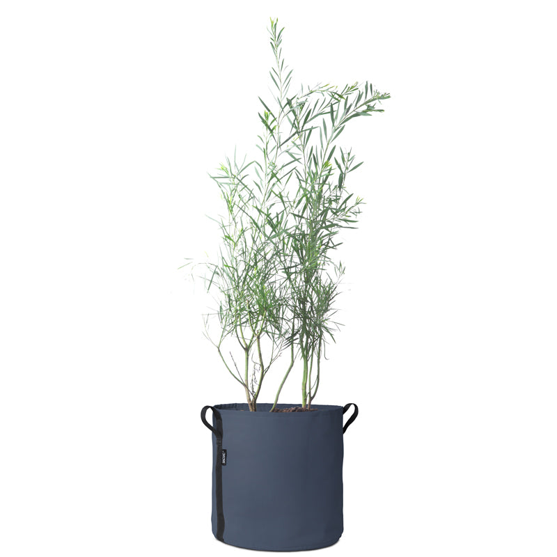BACSAC 50 Litre Round Pot – Beans and Jazz