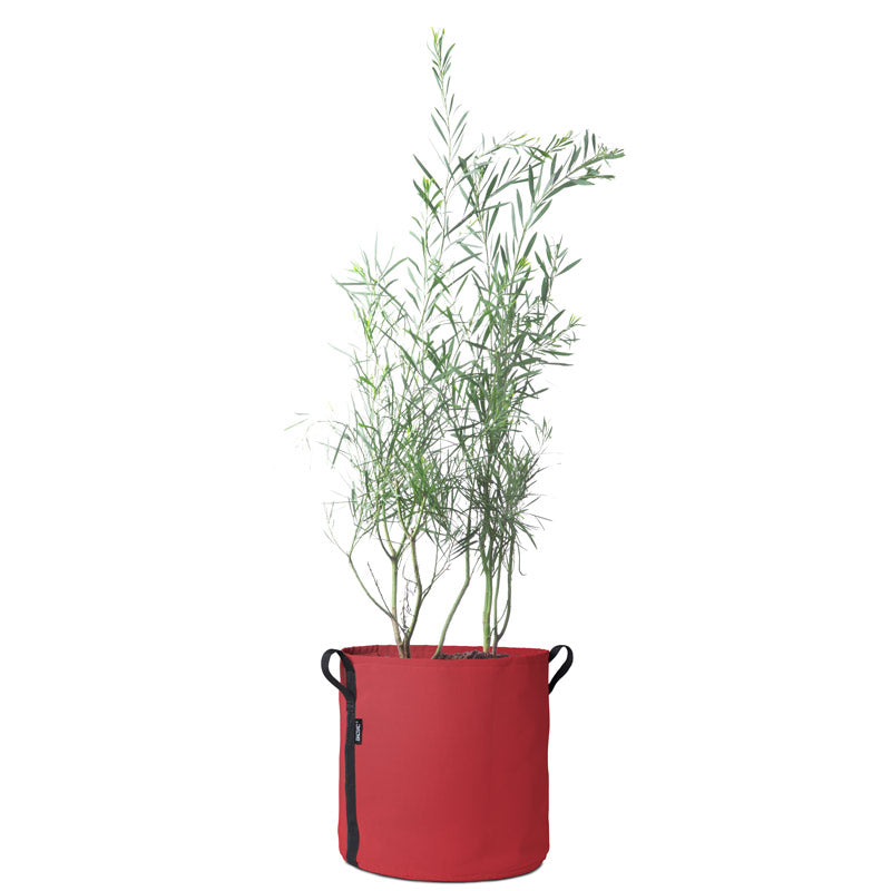 BACSAC-50L-Red