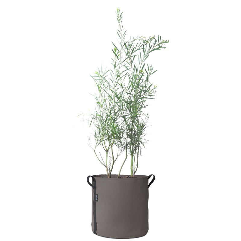 50l pot plant BACSAC 50 Litre Round Pot – Beans and Jazz
