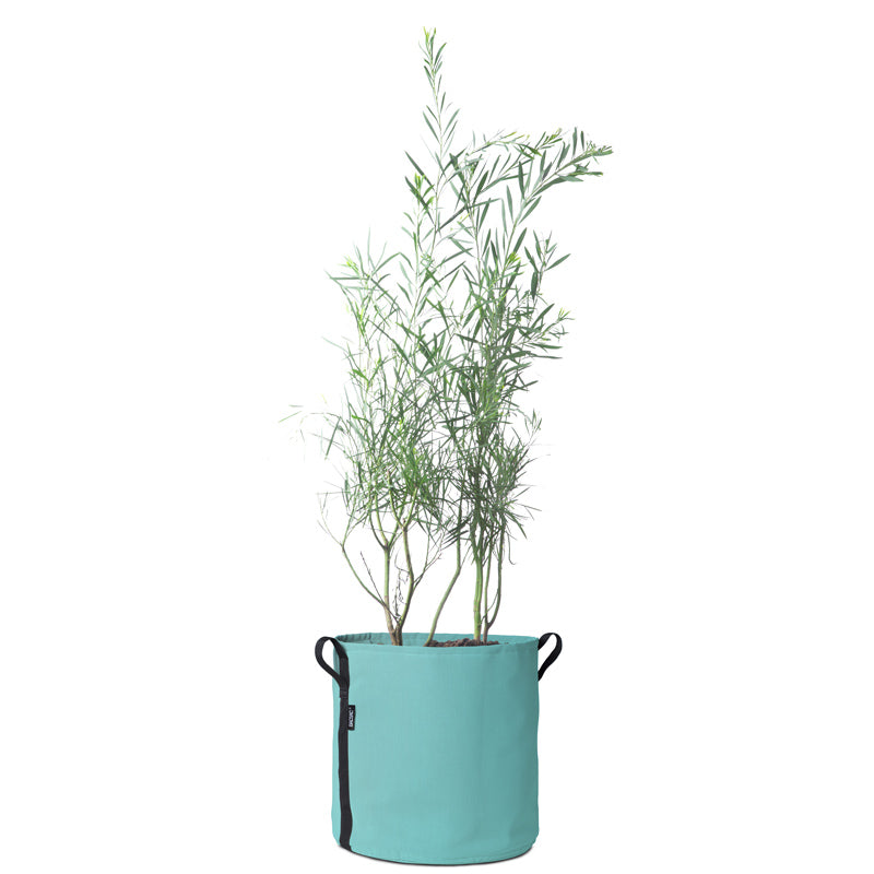BACSAC-50L-Turquoise