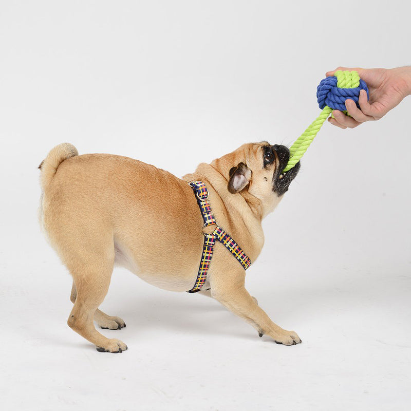 Beans-and-Jazz-Waggo-Rope-Dog-Toy-2