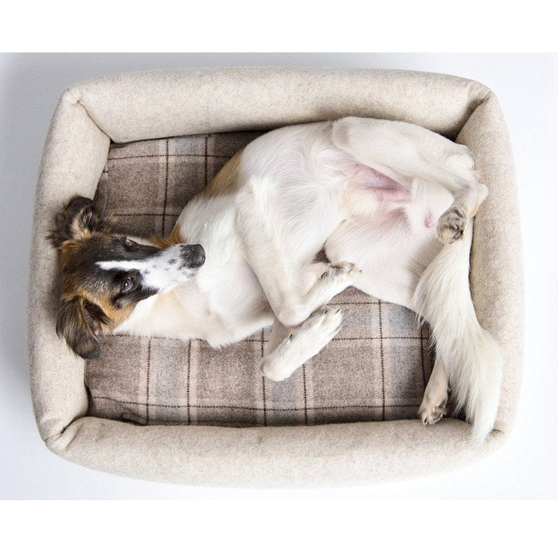 cloud-7-little-nap-dog-bed-5