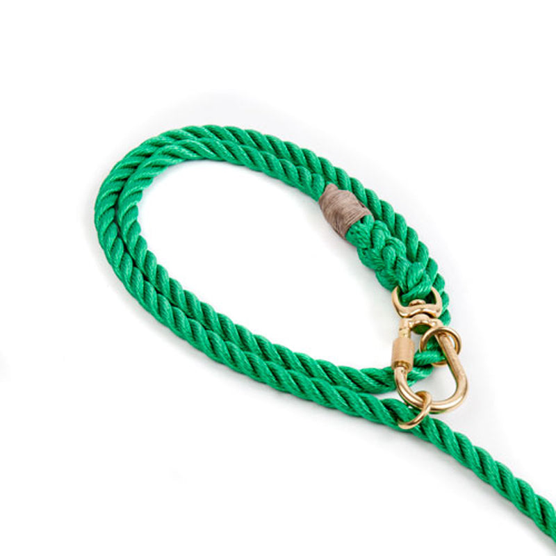 Miami-Green-Leash-Found-My-Animal-1