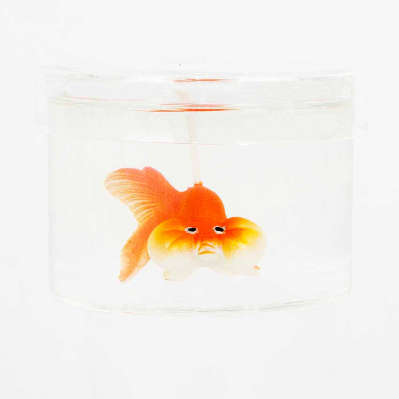 orange-gold-fish-candle-1