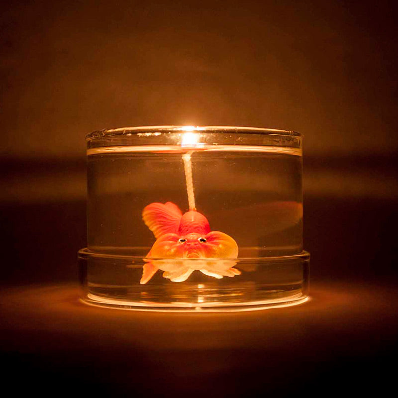 orange-gold-fish-candle-4