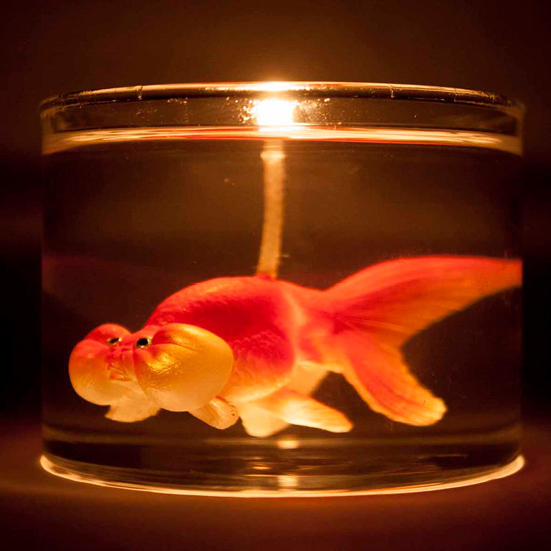 orange-gold-fish-candle-5
