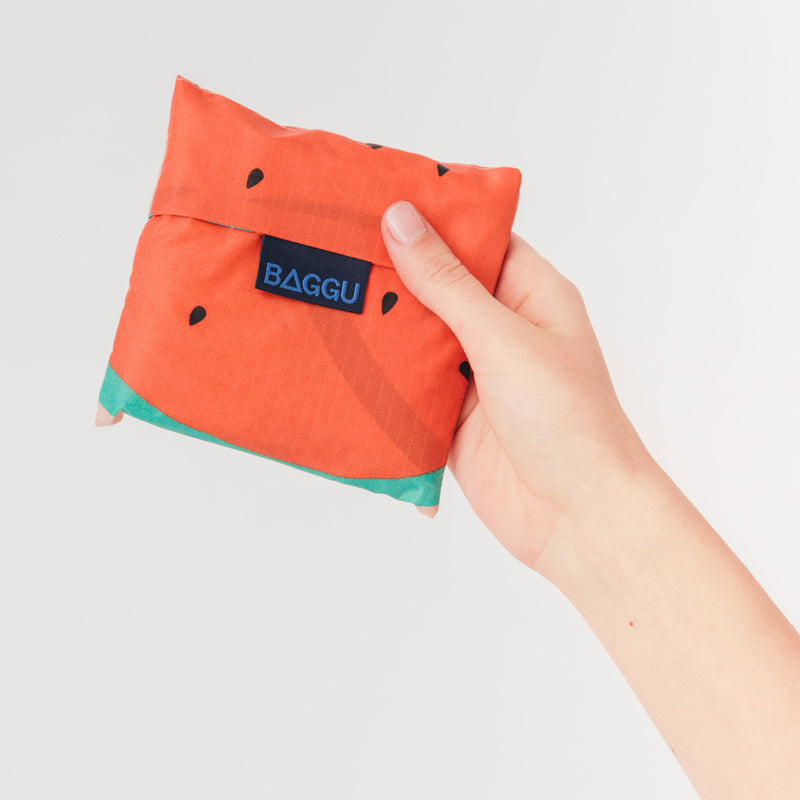 Standard-Baggu-Watermelon-Lifestyle-1